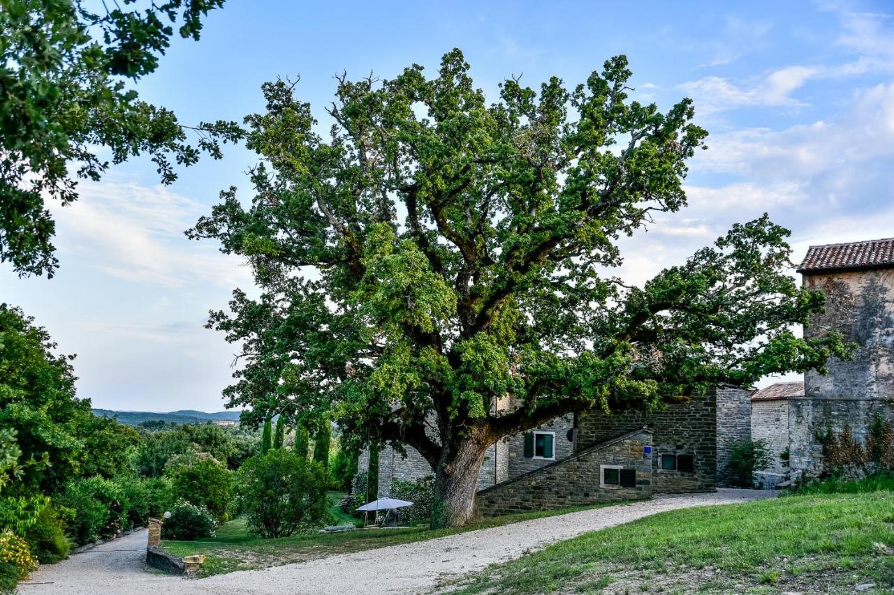 L'Abbraccio Della Quercia Apartment Momjan Exterior photo